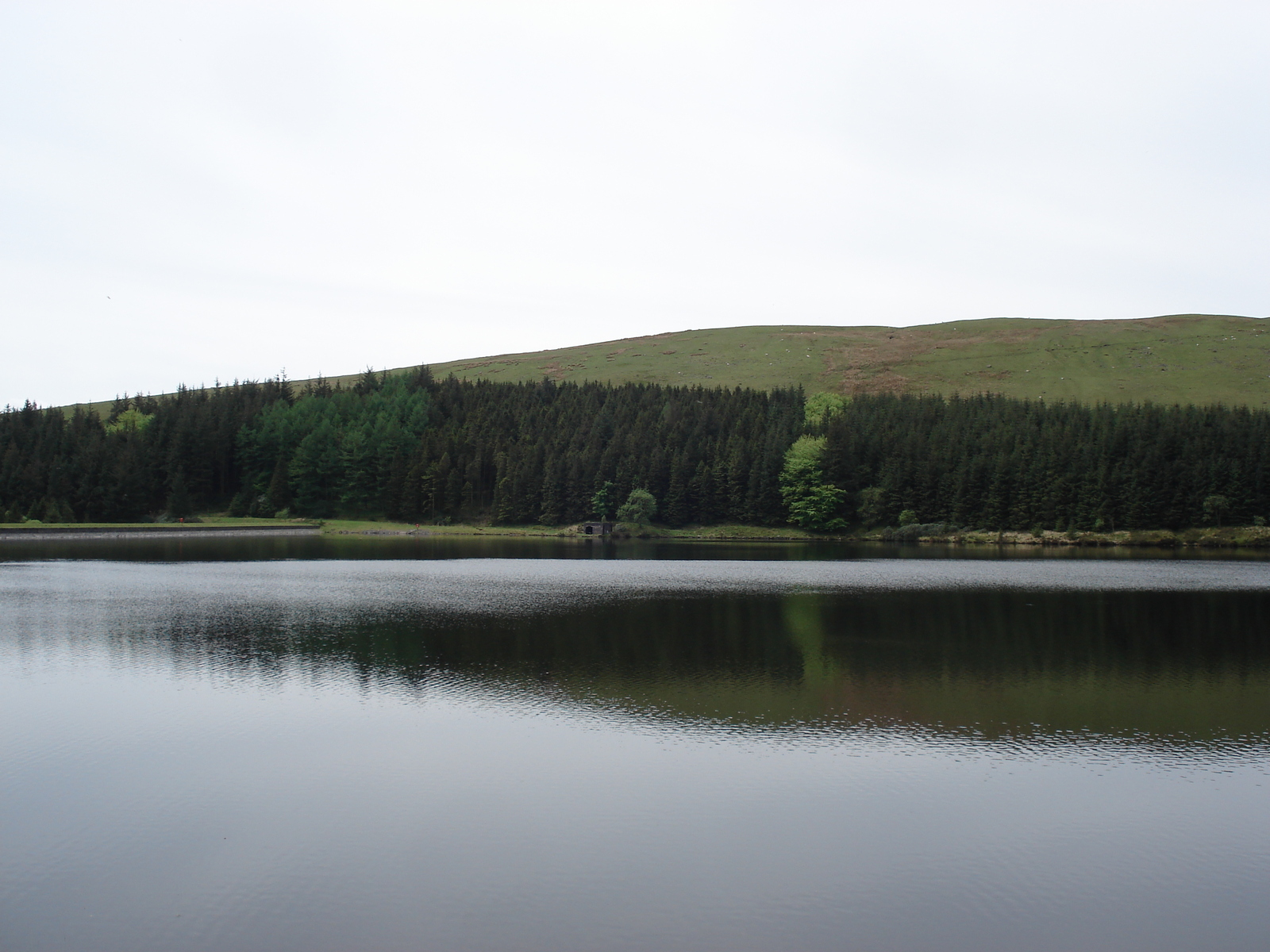 照片 英国(United Kingdom) 布雷肯比肯斯国家公园(Brecon Beacons National Park) 2006-05 66