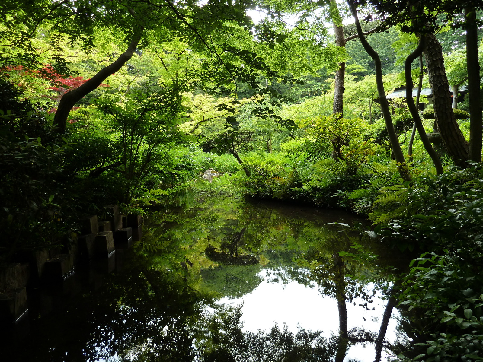 照片 日本(Japan) 东京(Tokyo) 根津美术馆(Nezu Museum) 2010-06 83