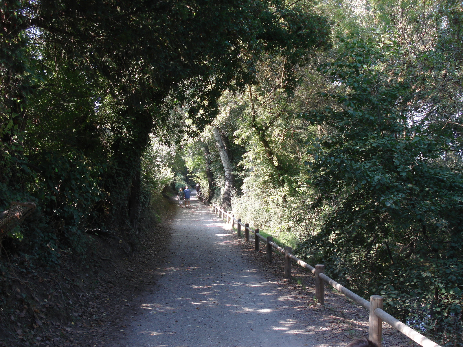 照片 法国(France) 维尔讷夫卢贝(Villeneuve Loubet) 2006-10 19