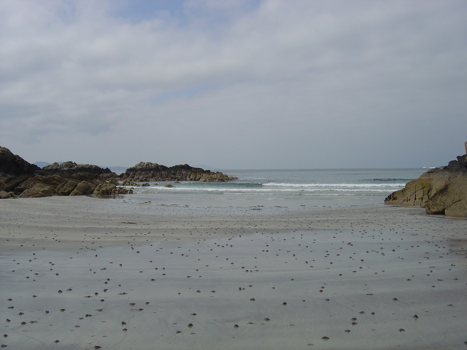 照片 爱尔兰(Ireland) 凯里郡(Kerry) 帕克纳西拉(Parknasilla) 2004-05 32