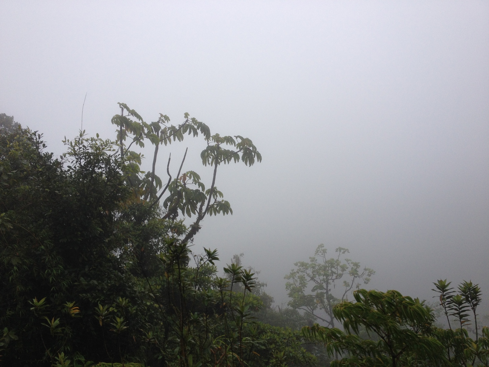 照片 巴拿马(Panama) 戴维至博卡斯德尔托罗(David to Bocas del toro) 2015-03 86