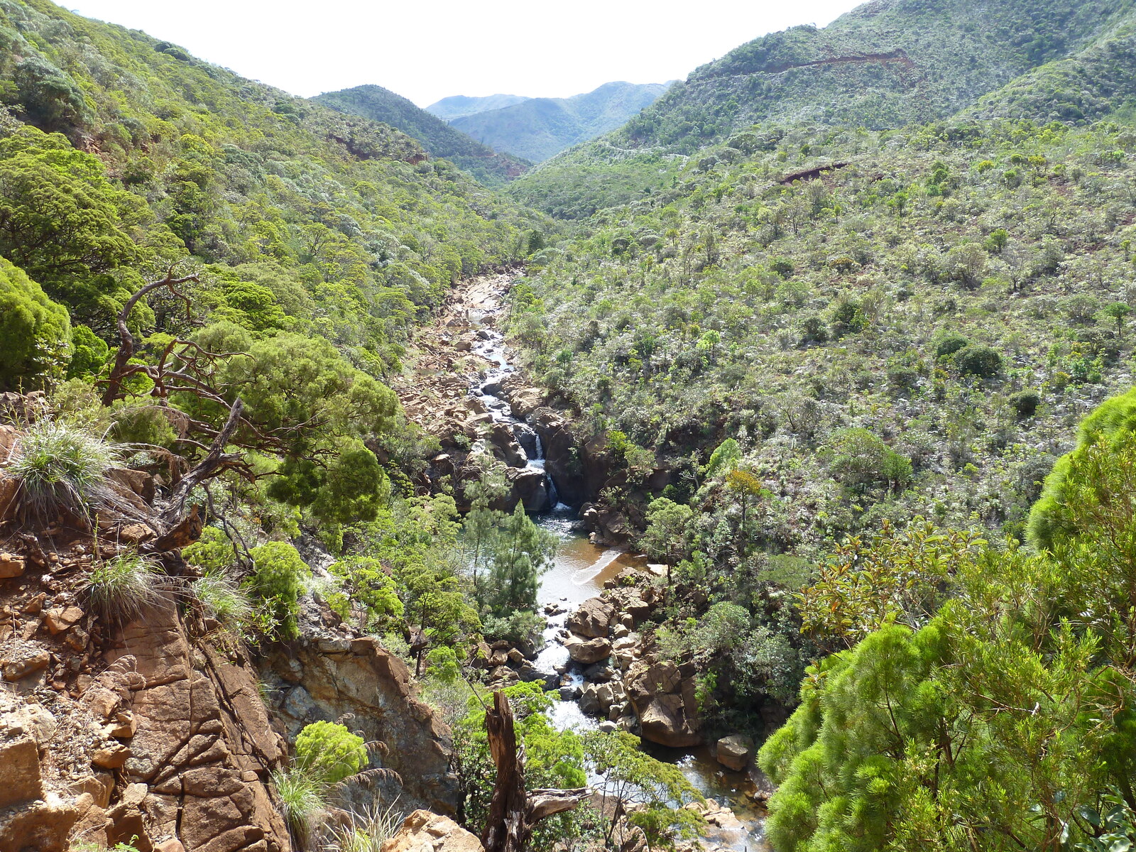 照片 新喀里多尼亚(New Caledonia) 蒂奥至卡纳拉公路(Thio to Canala road) 2010-05 26