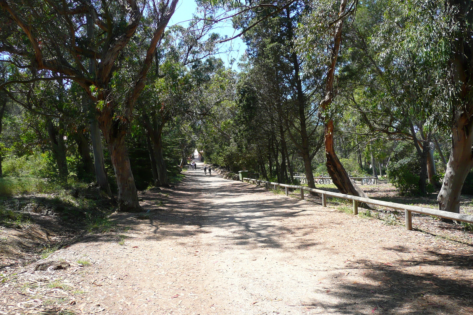 照片 法国(France) 波克罗勒岛(Porquerolles Island) 库尔塔德平原(Plaine de la courtade) 2008-05 26