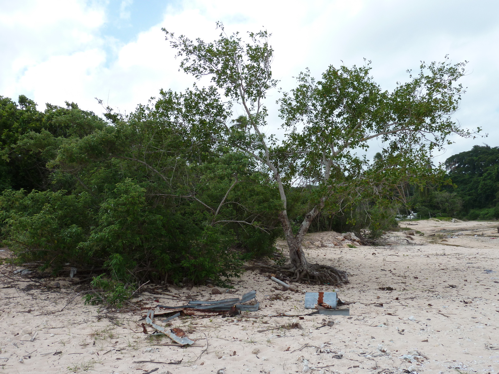 照片 斐济(Fiji) 楠迪至纳塔多拉公路(Nadi to Natadola road) 2010-05 27