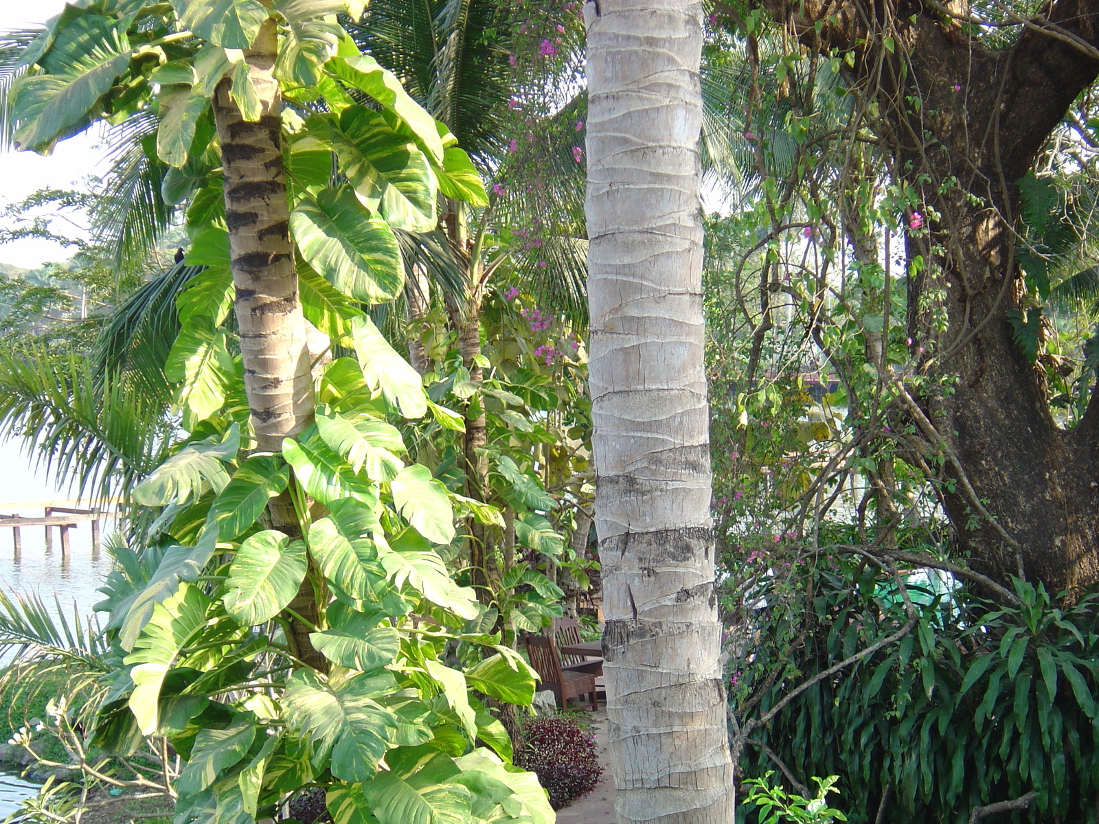 照片 缅甸(Myanmar) 仰光(Yangon) 甘达基宫殿酒店(Kandawgyi Palace Hotel) 2005-01 5