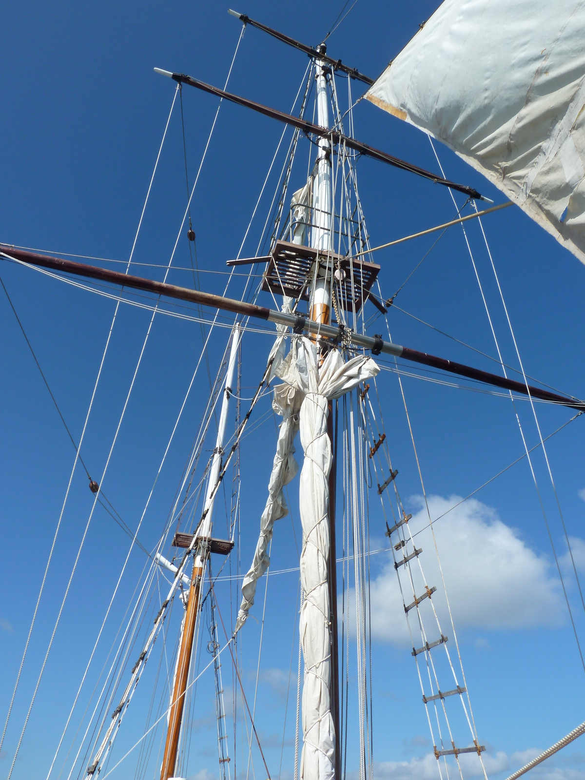 照片 斐济(Fiji) 库克船长游轮(Captain Cook Cruises) 2010-05 70