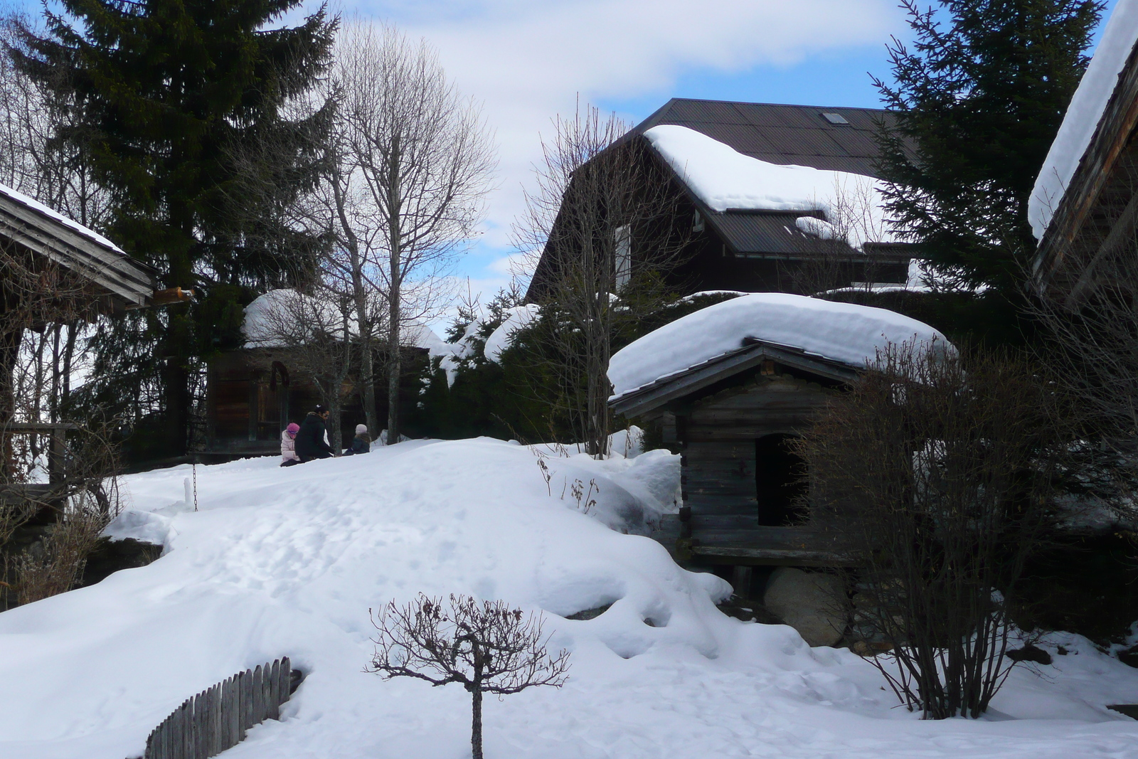 照片 法国(France) 梅杰夫(Megeve) 2010-02 71