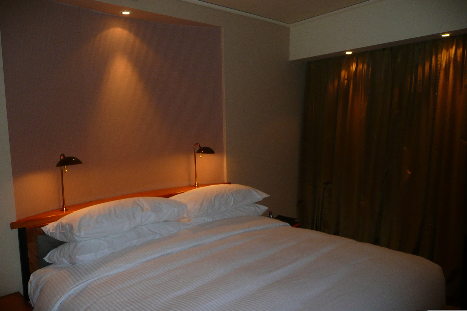 照片 南非(South Africa) 约翰内斯堡(Johannesburg) 洲际酒店(Intercontinental Hotel) 2008-09 8