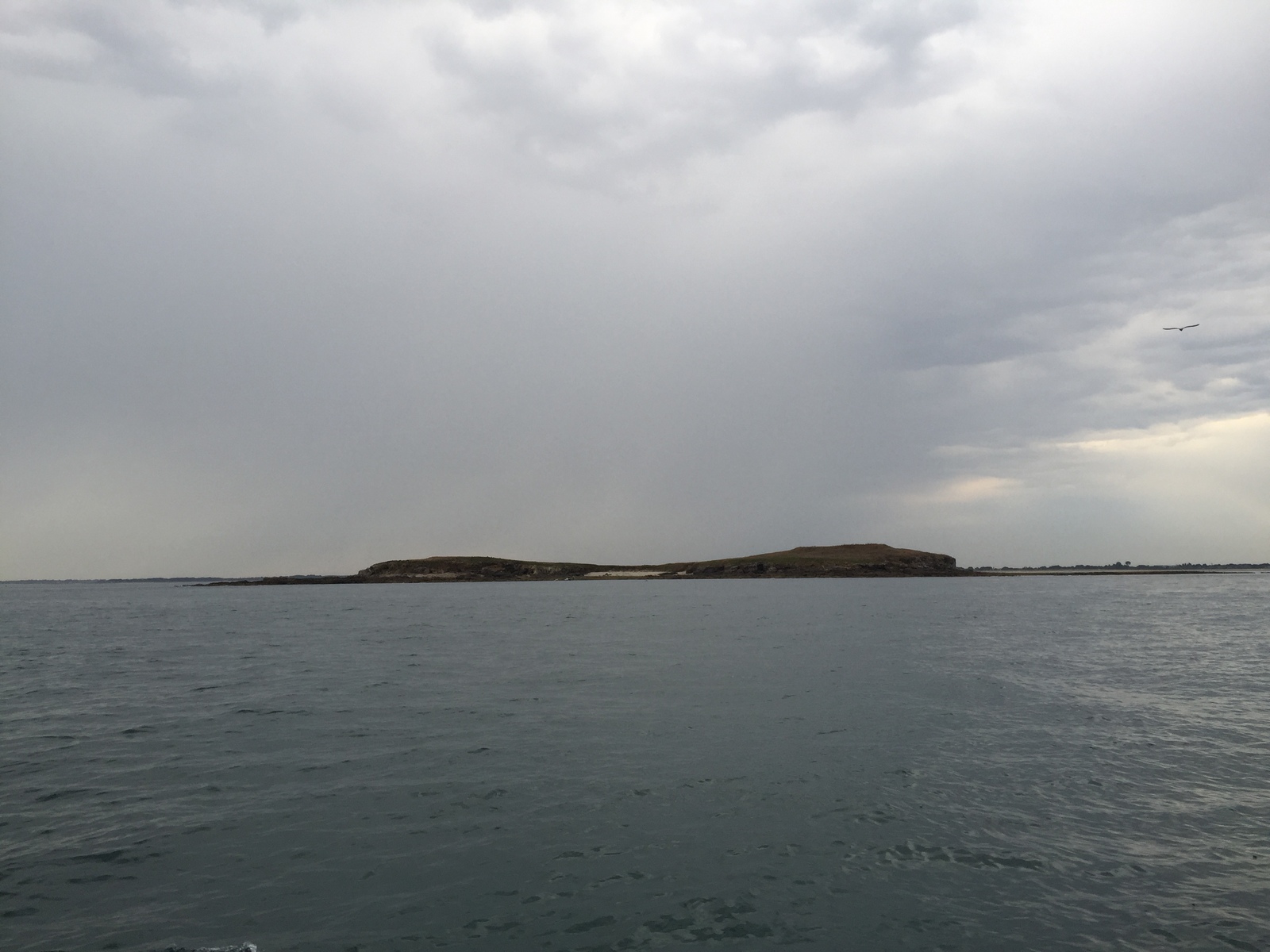 照片 法国(France) 莫尔比昂湾(Golfe du Morbihan) 2016-08 25