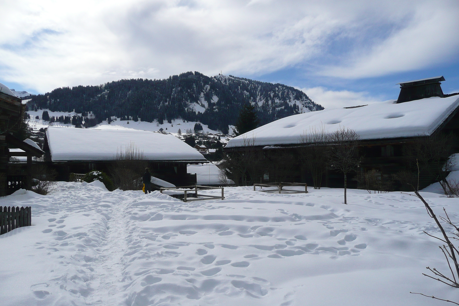 照片 法国(France) 梅杰夫(Megeve) 2010-02 121