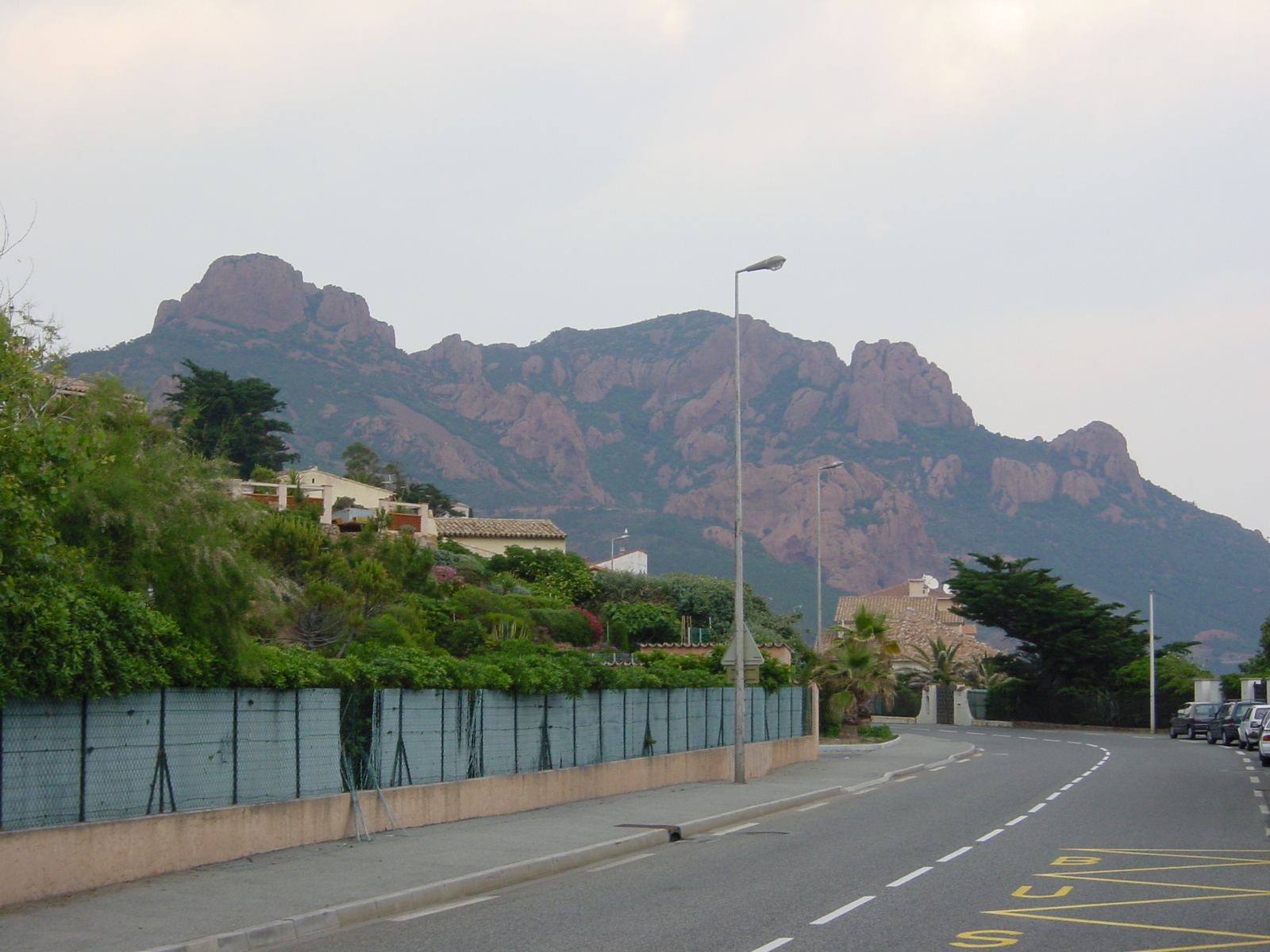 照片 法国(France) 埃斯特雷尔山(Esterel) 2003-05 6