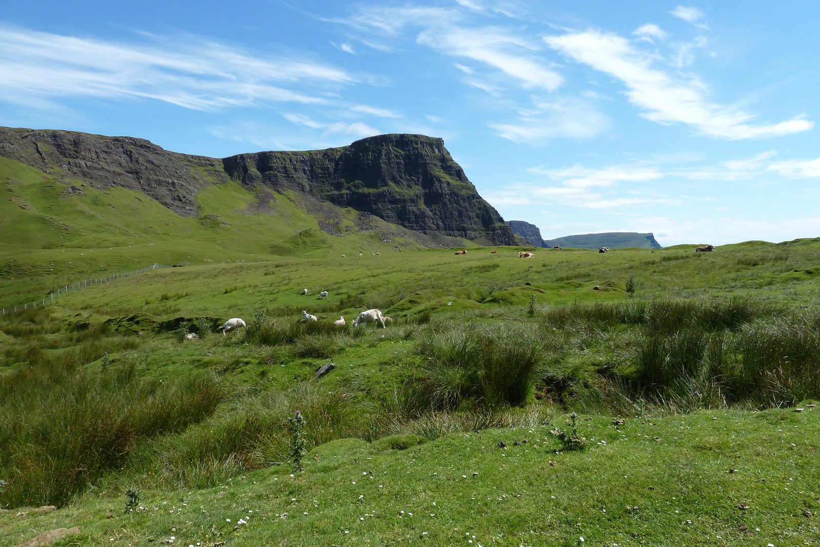 照片 英国(United Kingdom) 斯凯岛(Skye) 尼斯特角(Neist Point) 2011-07 11