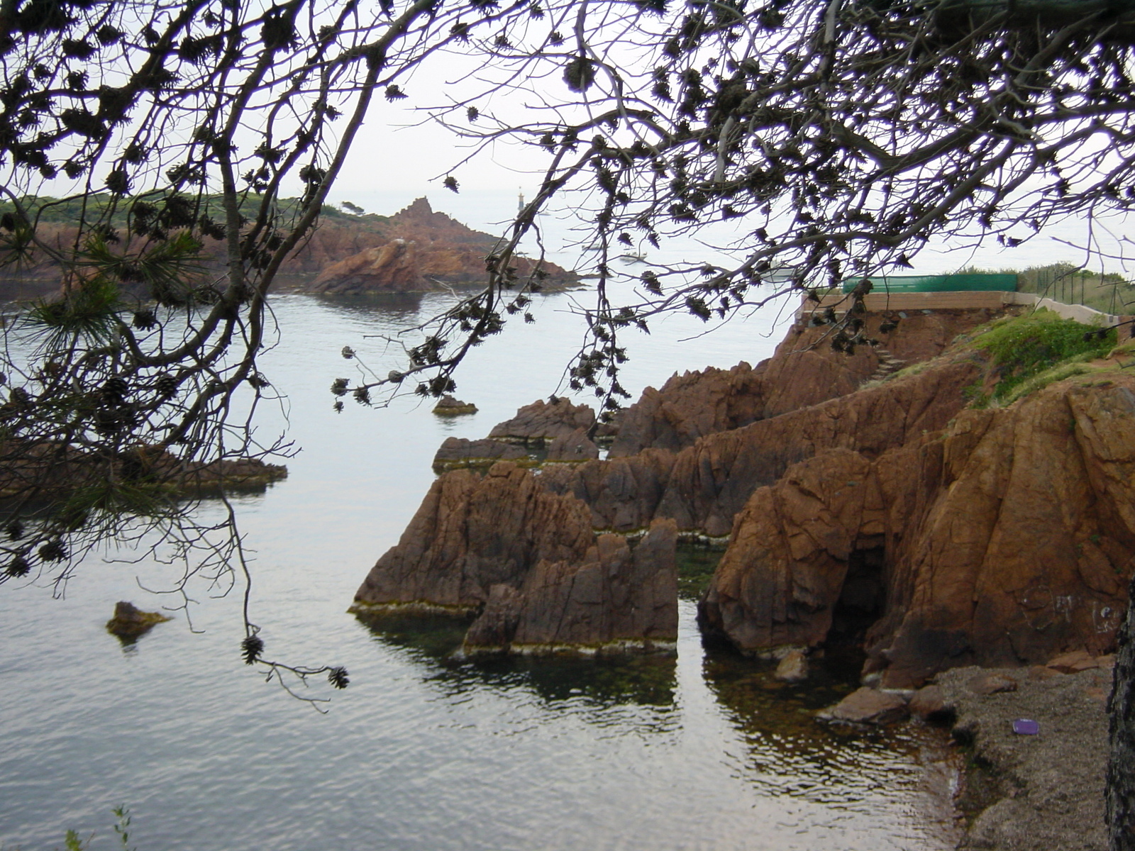 照片 法国(France) 埃斯特雷尔山(Esterel) 2003-05 10