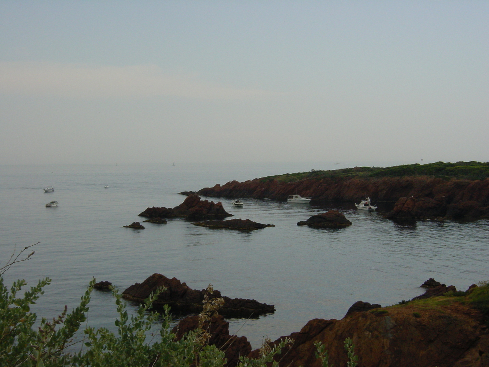 照片 法国(France) 埃斯特雷尔山(Esterel) 2003-05 14