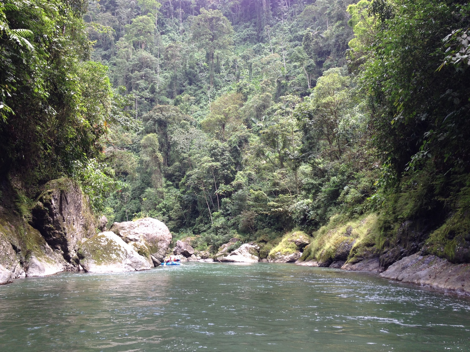 照片 哥斯达黎加(Costa Rica) 帕夸雷河(Pacuare River) 2015-03 120