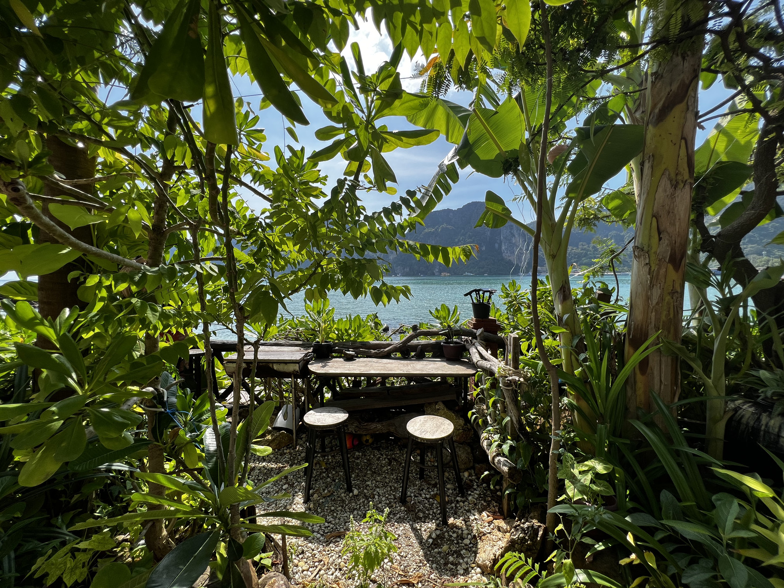 照片 泰国(Thailand) 大皮皮岛(Ko Phi Phi Don) 2021-12 180