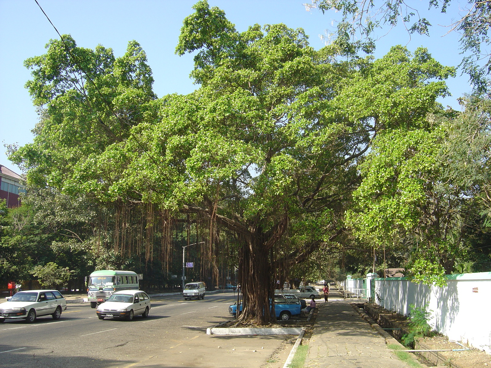 照片 缅甸(Myanmar) 仰光(Yangon) 2005-01 218