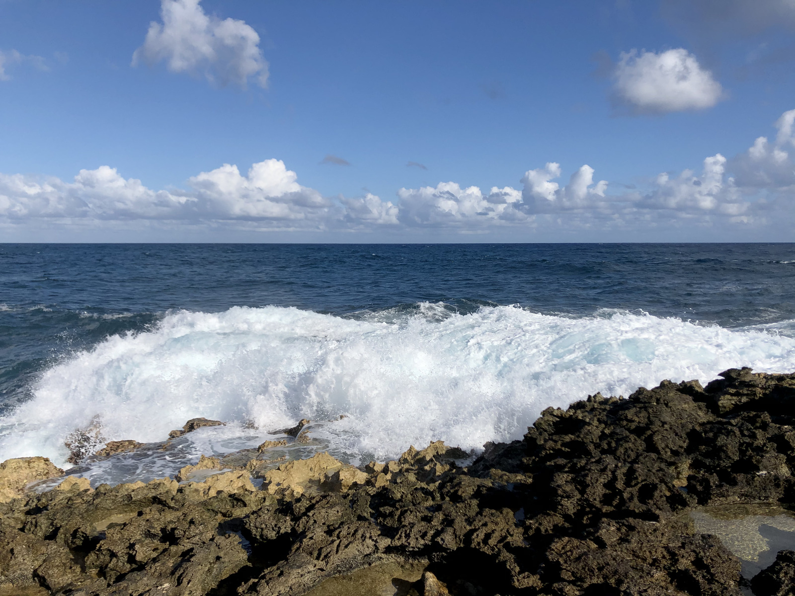 照片 瓜德罗普(Guadeloupe) 城堡角(Castle Point) 2021-02 282