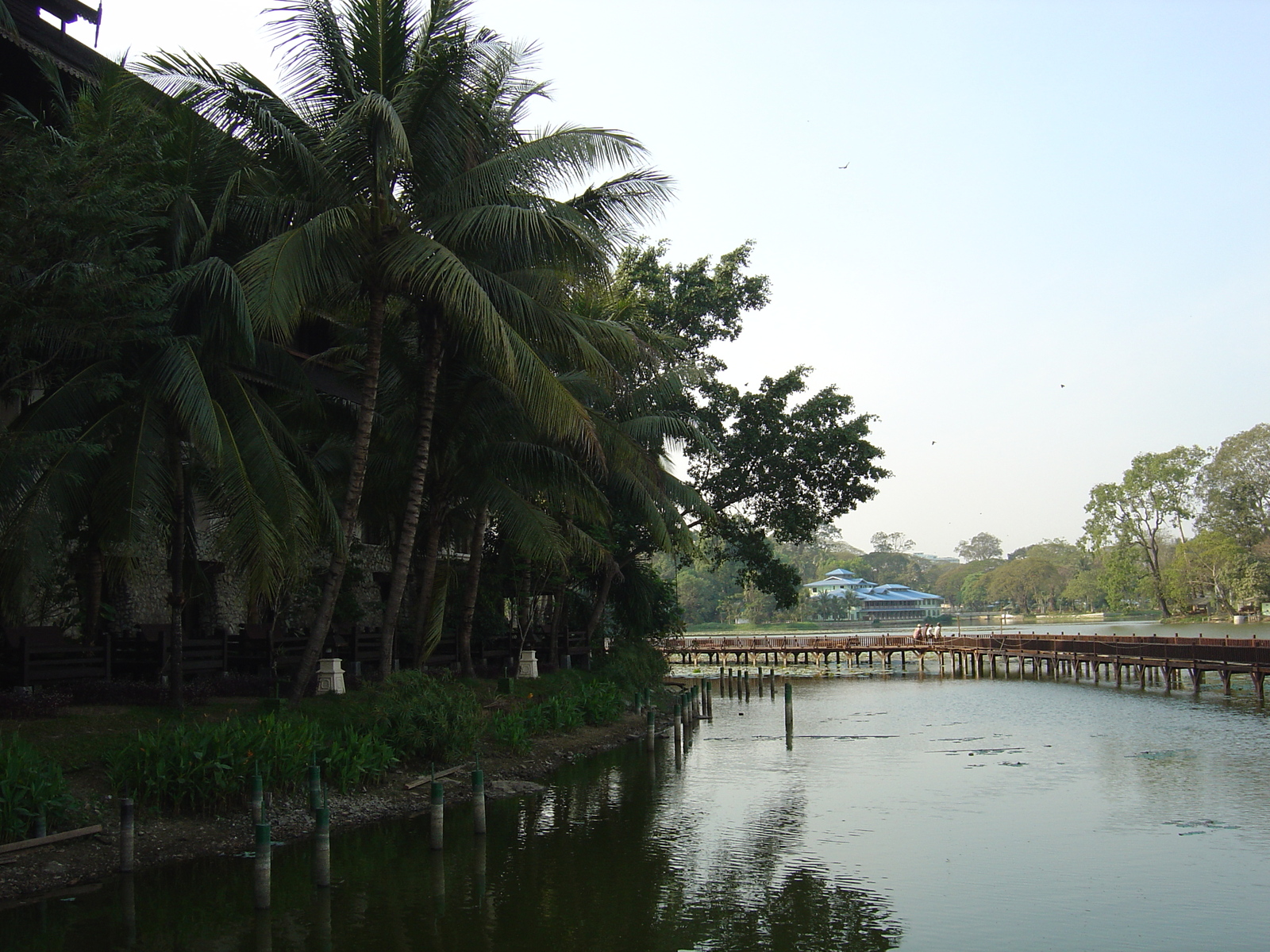 照片 缅甸(Myanmar) 仰光(Yangon) 甘达基宫殿酒店(Kandawgyi Palace Hotel) 2005-01 40