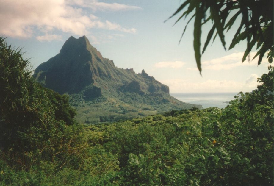照片 波利尼西亚(Polynesia) 1993-04 81