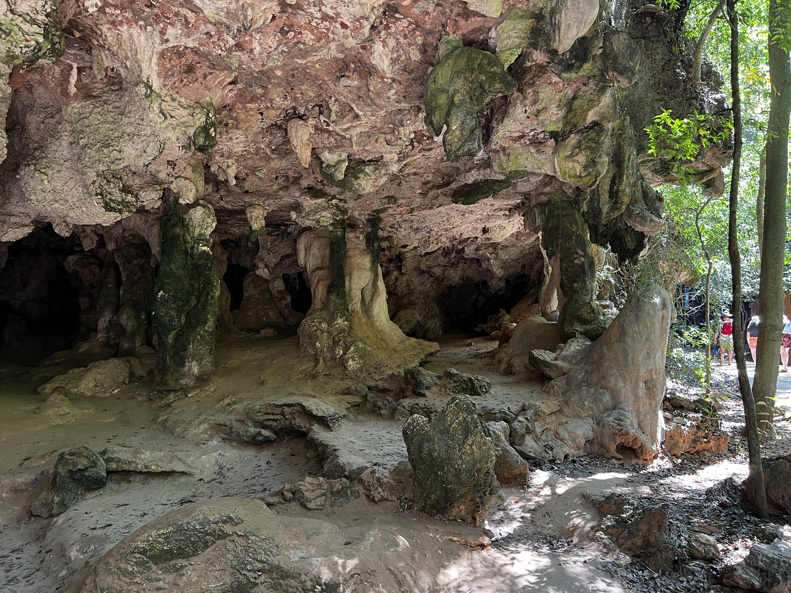 照片 泰国(Thailand) 甲米(Krabi) 2023-01 63