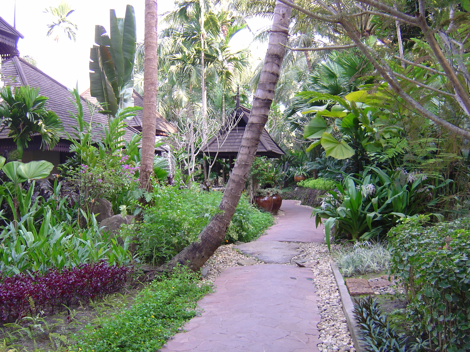 照片 缅甸(Myanmar) 仰光(Yangon) 甘达基宫殿酒店(Kandawgyi Palace Hotel) 2005-01 13