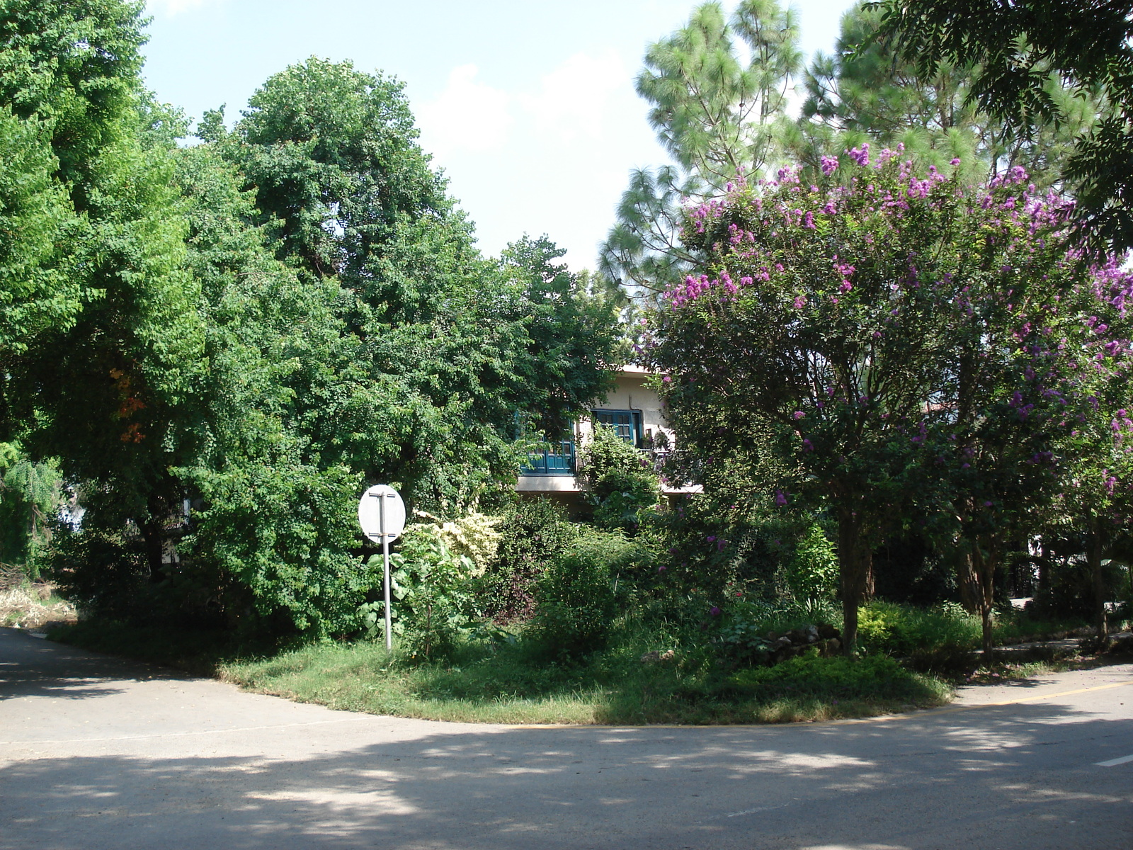 照片 巴基斯坦(Pakistan) 伊斯兰堡(Islamabad) 2006-08 5