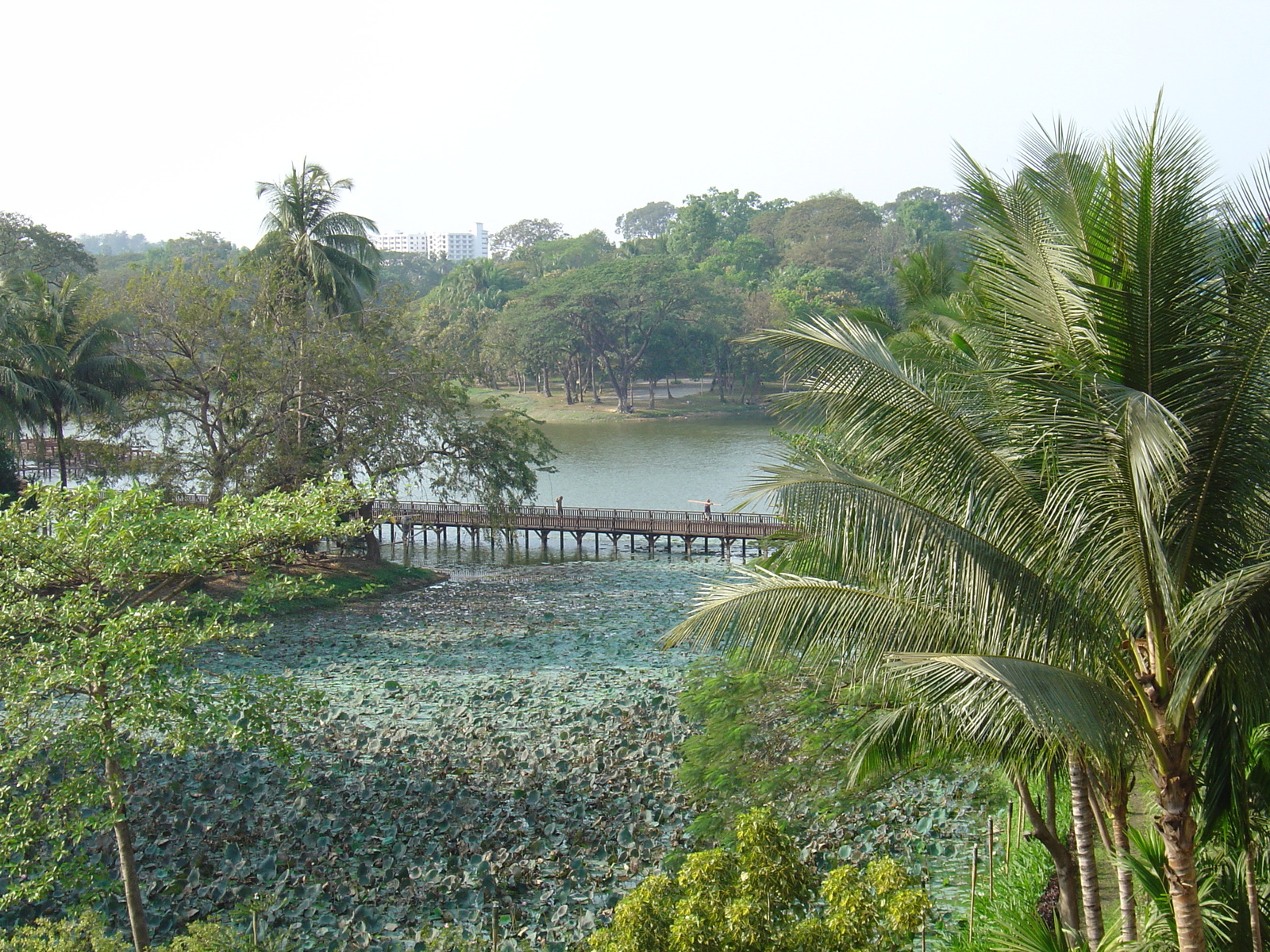 照片 缅甸(Myanmar) 仰光(Yangon) 甘达基宫殿酒店(Kandawgyi Palace Hotel) 2005-01 38