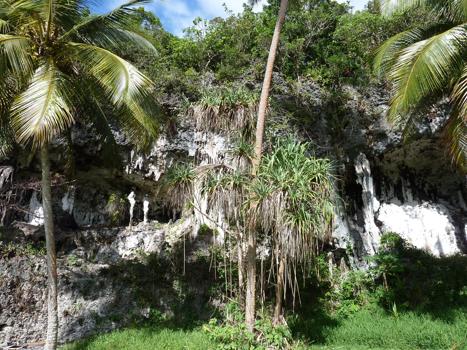 照片 新喀里多尼亚(New Caledonia) 利富岛(Lifou) 约西普(Josip) 2010-05 29