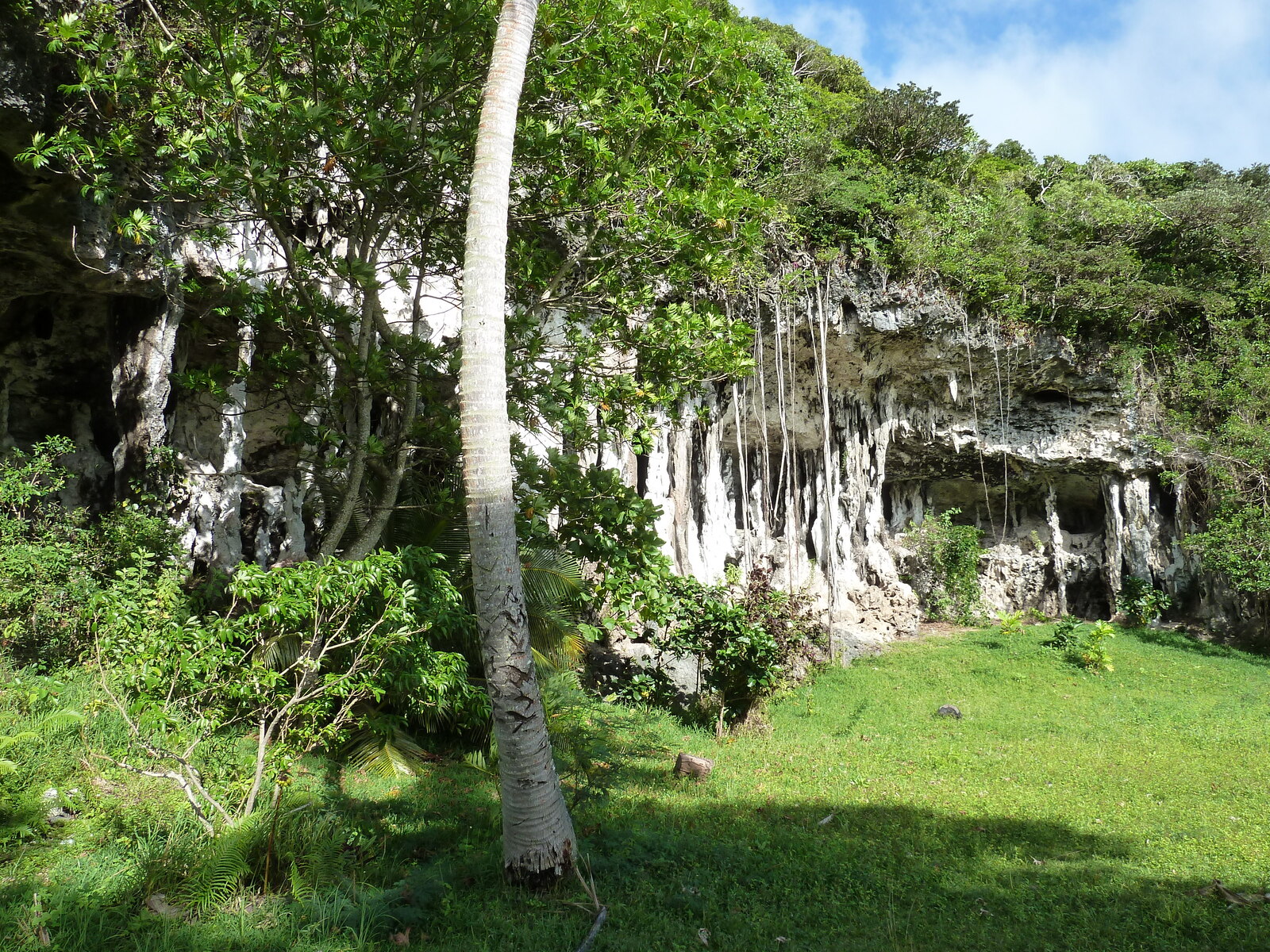 照片 新喀里多尼亚(New Caledonia) 利富岛(Lifou) 约西普(Josip) 2010-05 4