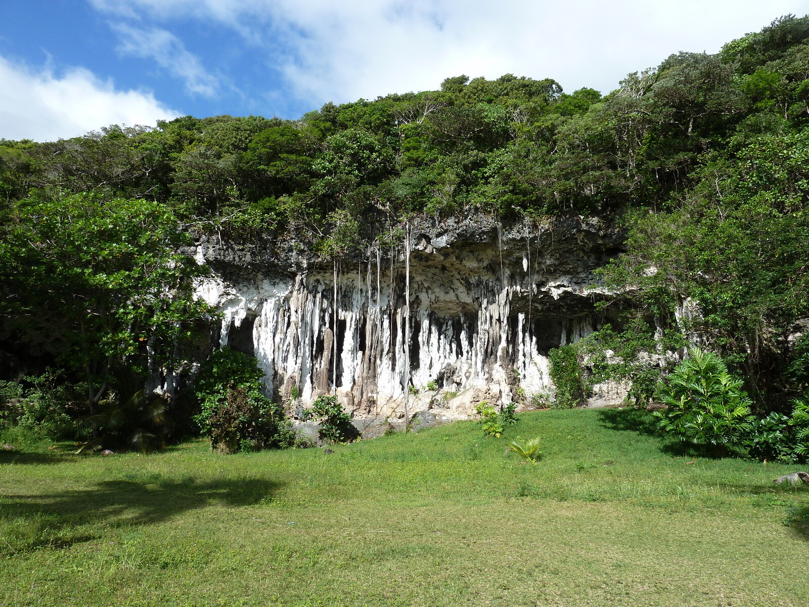 照片 新喀里多尼亚(New Caledonia) 2010-05 19
