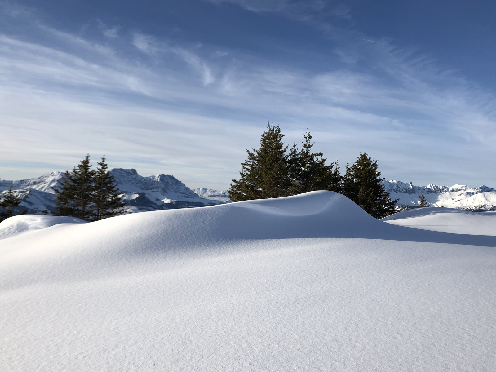 照片 法国(France) 阿尔利河畔普拉(Praz sur Arly) 2019-12 323