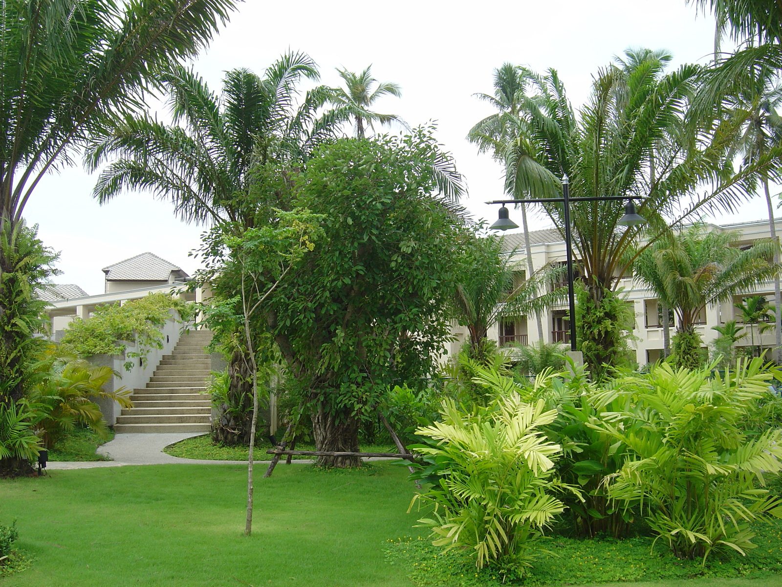 照片 泰国(Thailand) 考拉(Khao Lak) 考拉艾美酒店(Meridien Khao Lak Hotel) 2005-12 203