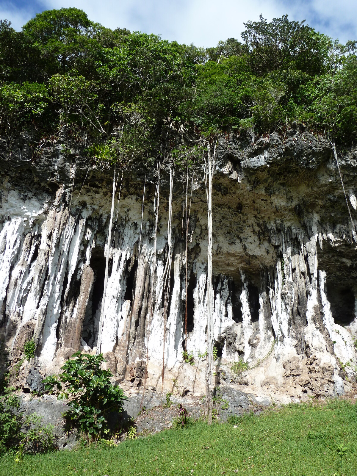照片 新喀里多尼亚(New Caledonia) 利富岛(Lifou) 约西普(Josip) 2010-05 12