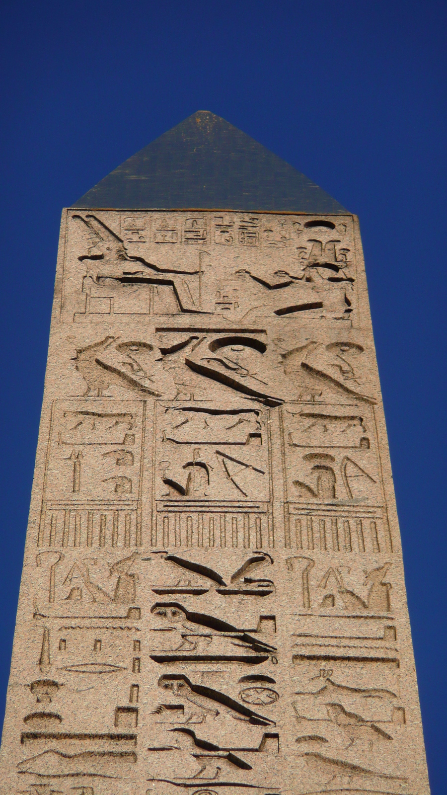 照片 法国(France) 巴黎(Paris) 协和广场(La Concorde) 2007-04 16