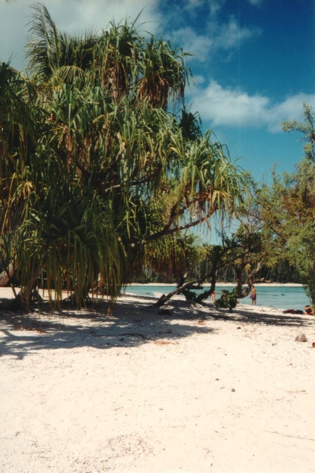 照片 波利尼西亚(Polynesia) 莫雷阿岛(Moorea) 1993-04 57