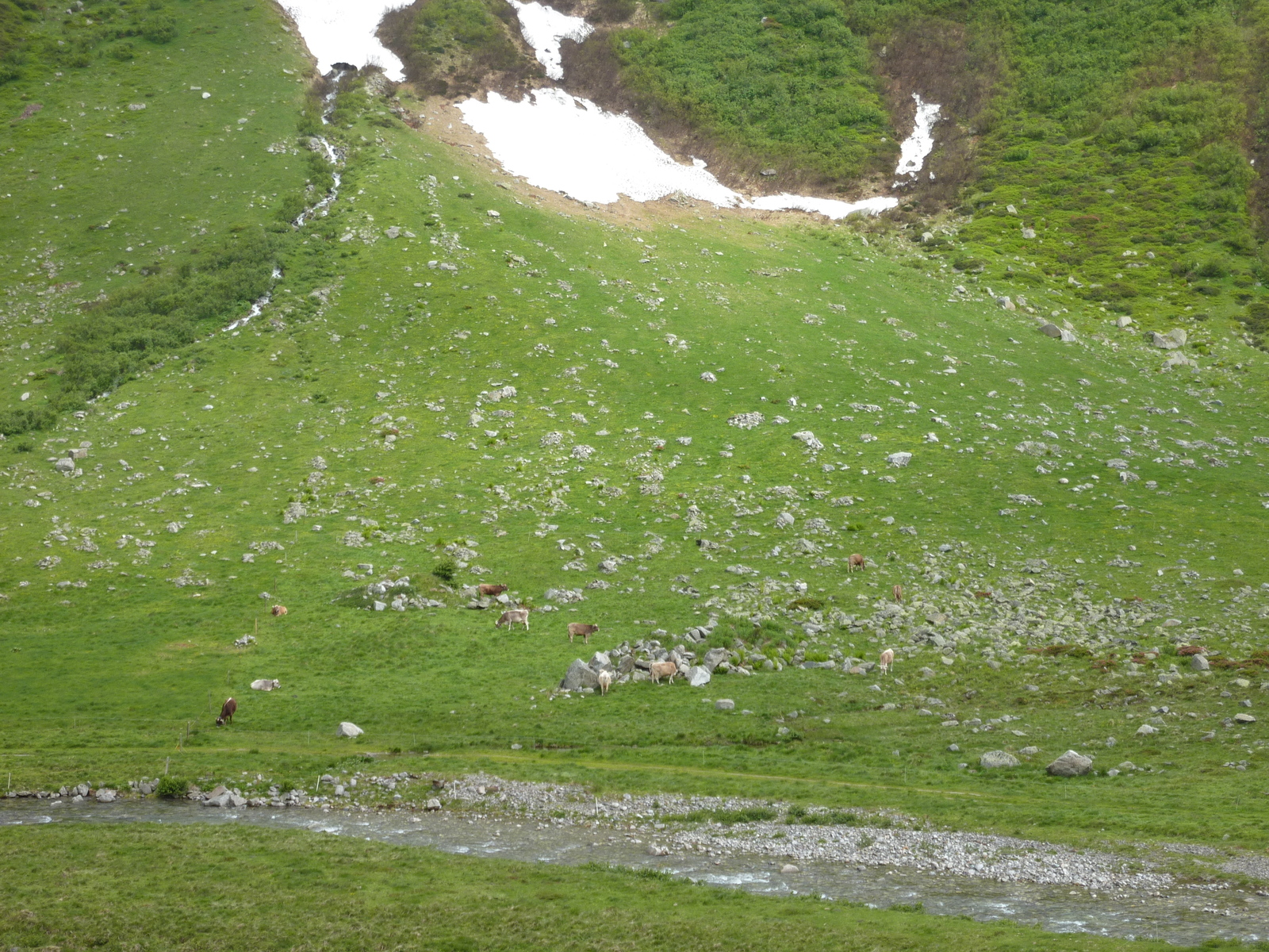 照片 瑞士(Switzerland) 圣哥达山口(Gotthard Pass) 2009-06 6