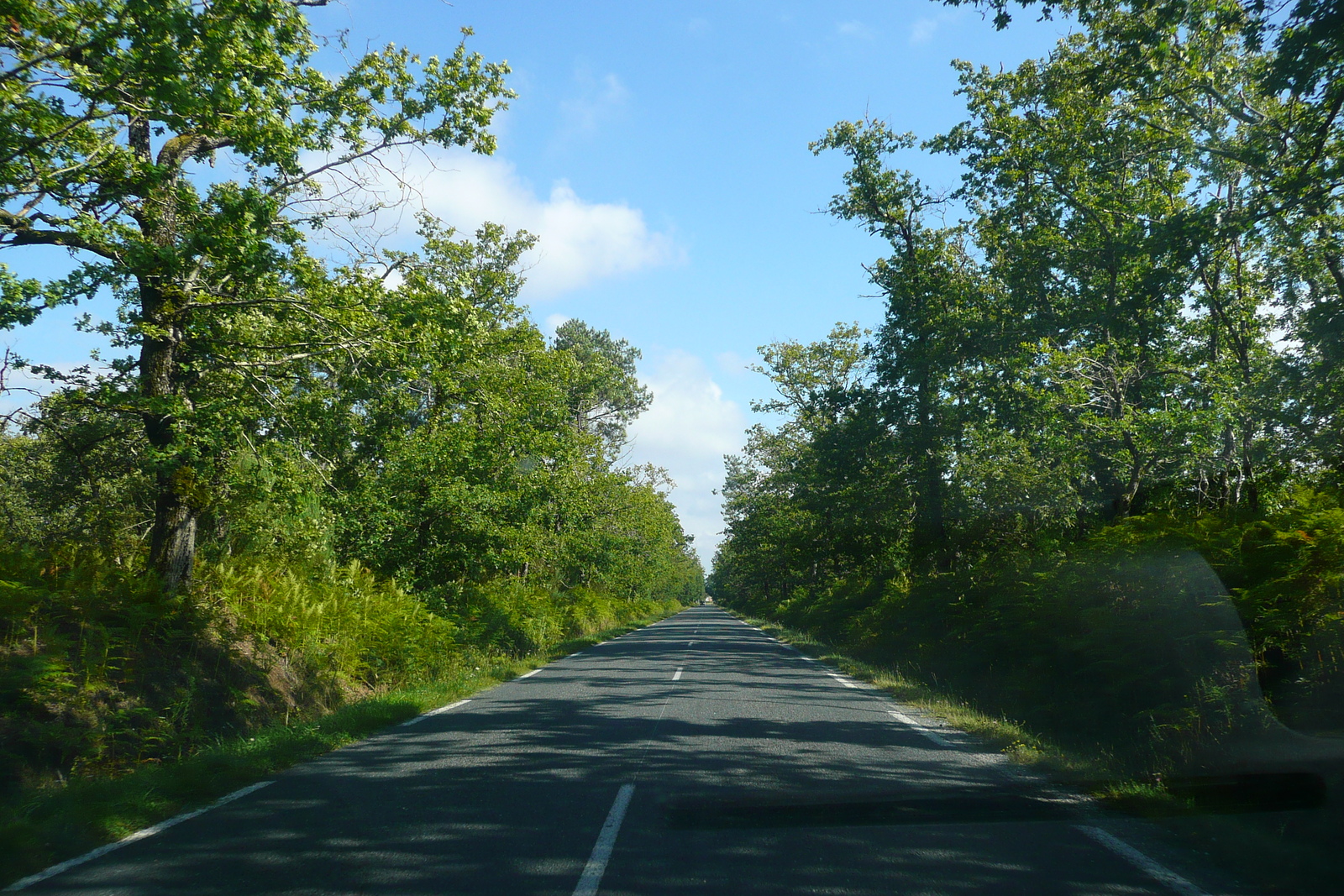 照片 法国(France) 吉伦特湖区公路(Gironde lakes road) 2007-08 1