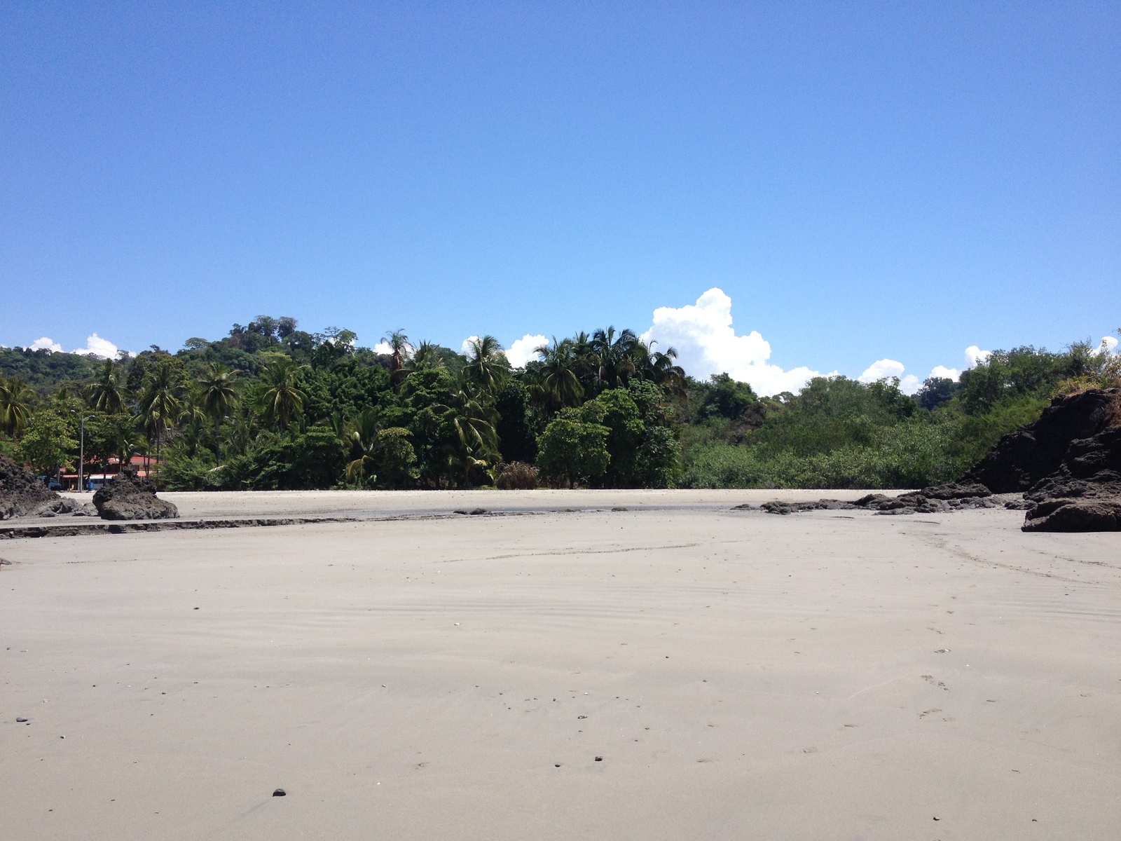 照片 哥斯达黎加(Costa Rica) 曼努埃尔安东尼奥(Manuel Antonio) 2015-03 77
