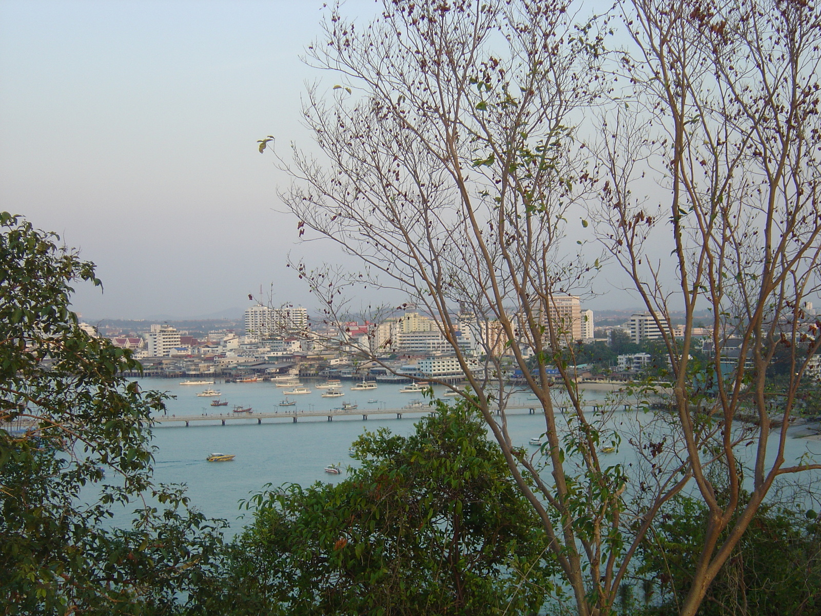 照片 泰国(Thailand) 芭提雅(Pattaya) 2004-12 15