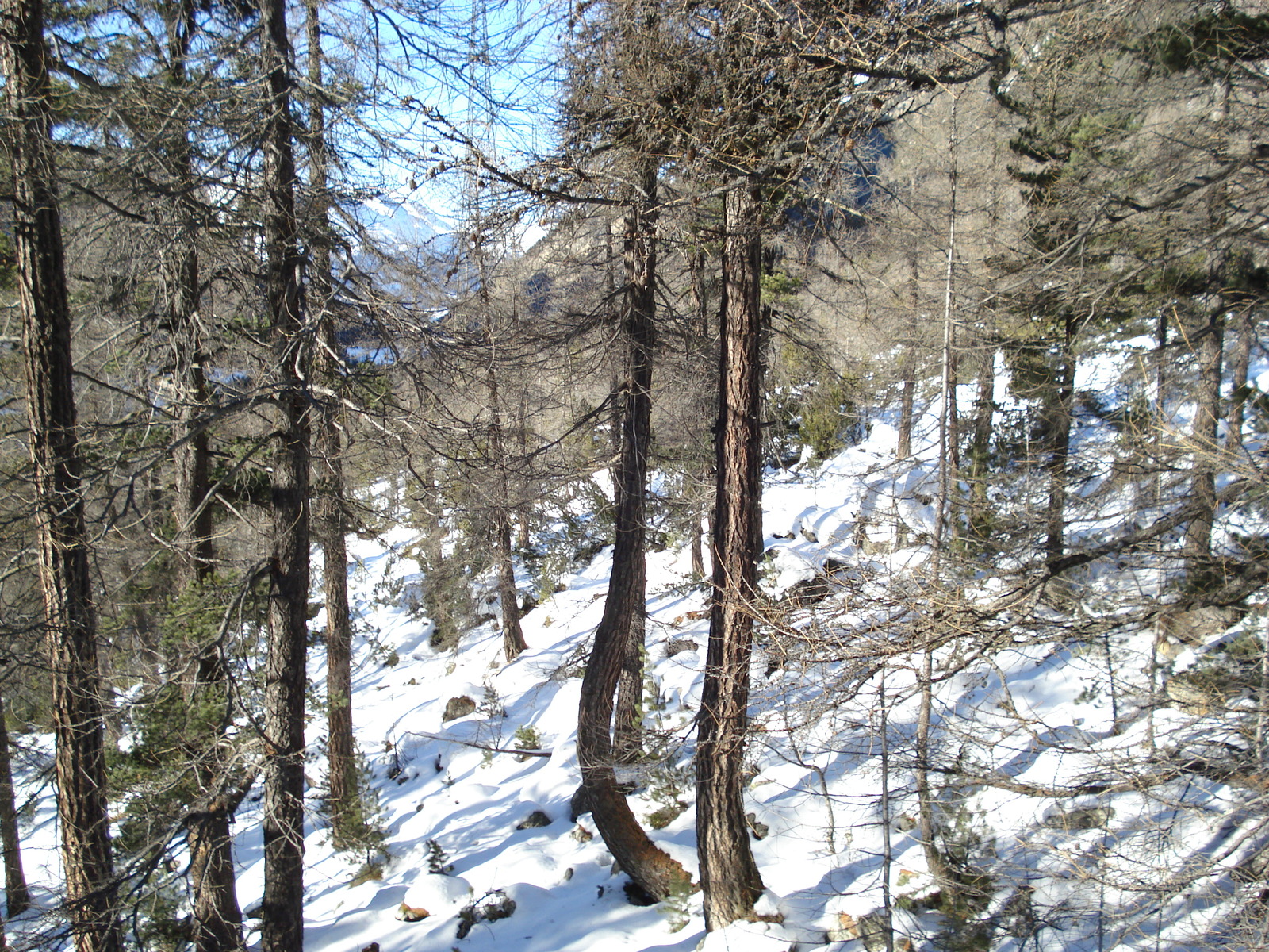 照片 瑞士(Switzerland) 蓬特雷西纳至比安科湖(From Pontresina to Lago Bianco) 2007-01 8
