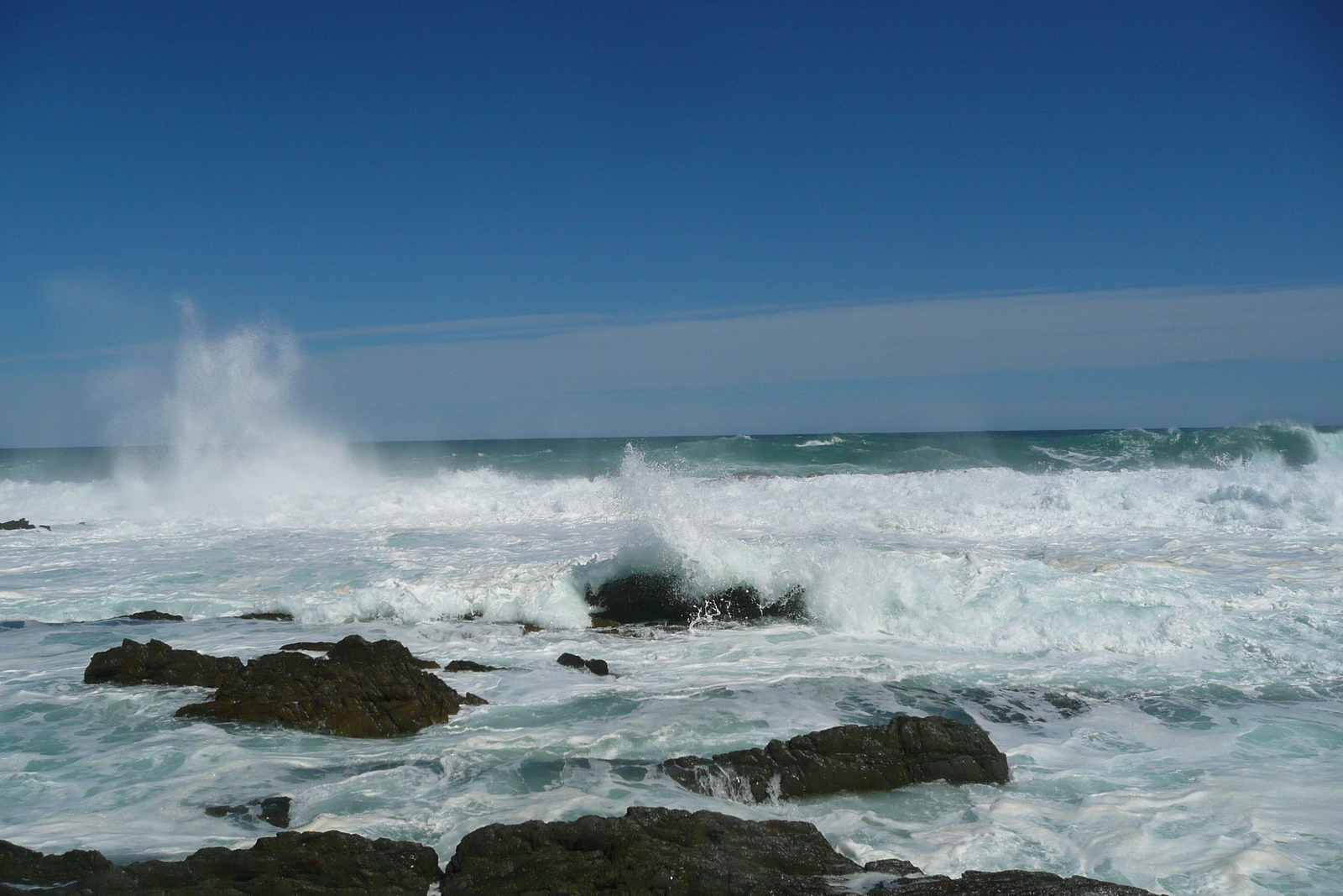 照片 南非(South Africa) 齐齐卡马国家公园(Tsitsikamma National Park) 2008-09 26