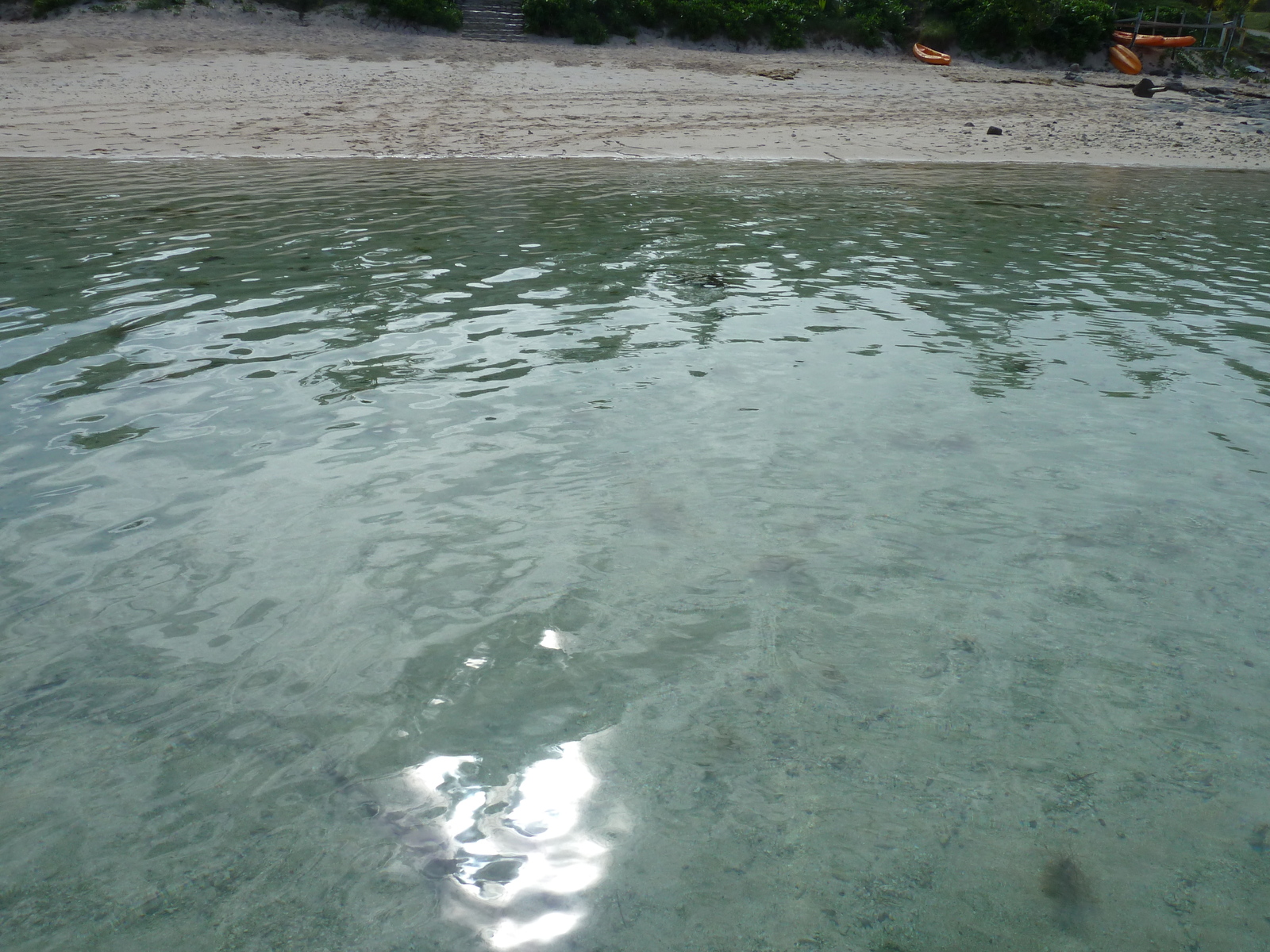 照片 斐济(Fiji) 阿穆努卡岛度假村(Amunuca Island Resort) 2010-05 16