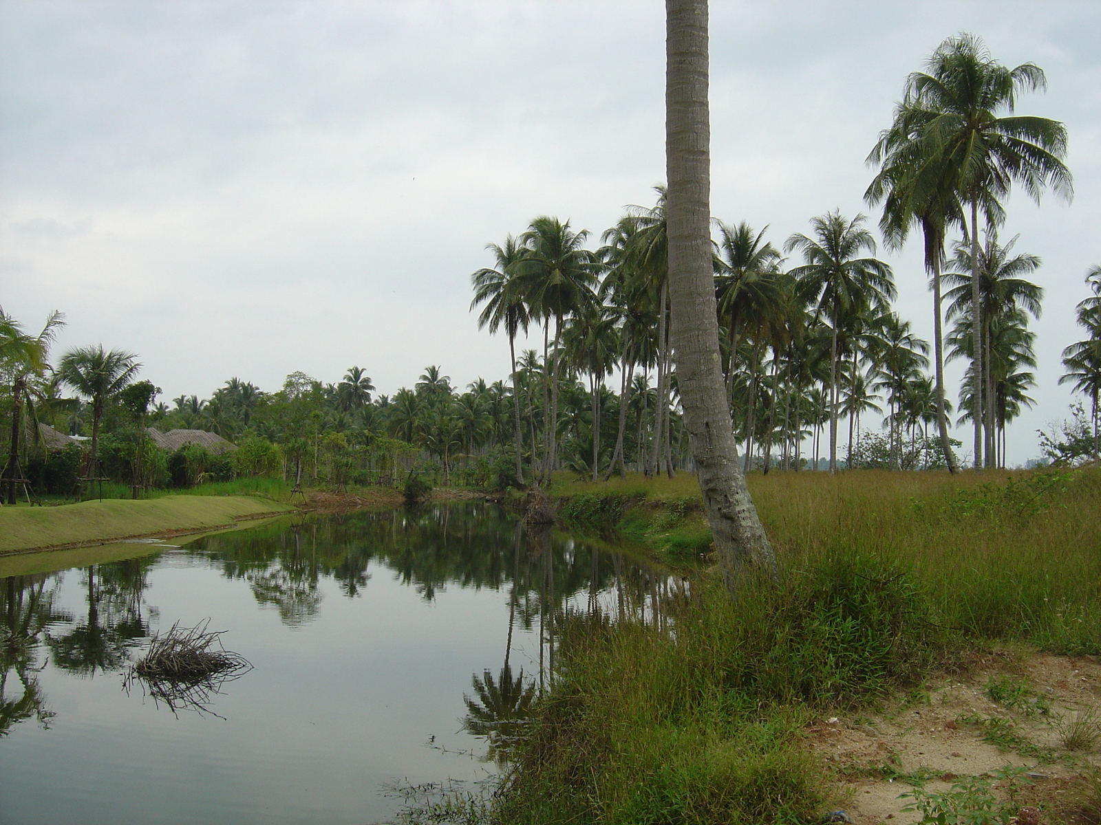 照片 泰国(Thailand) 考拉(Khao Lak) 邦萨海滩(Bang Sak Beach) 2005-12 65