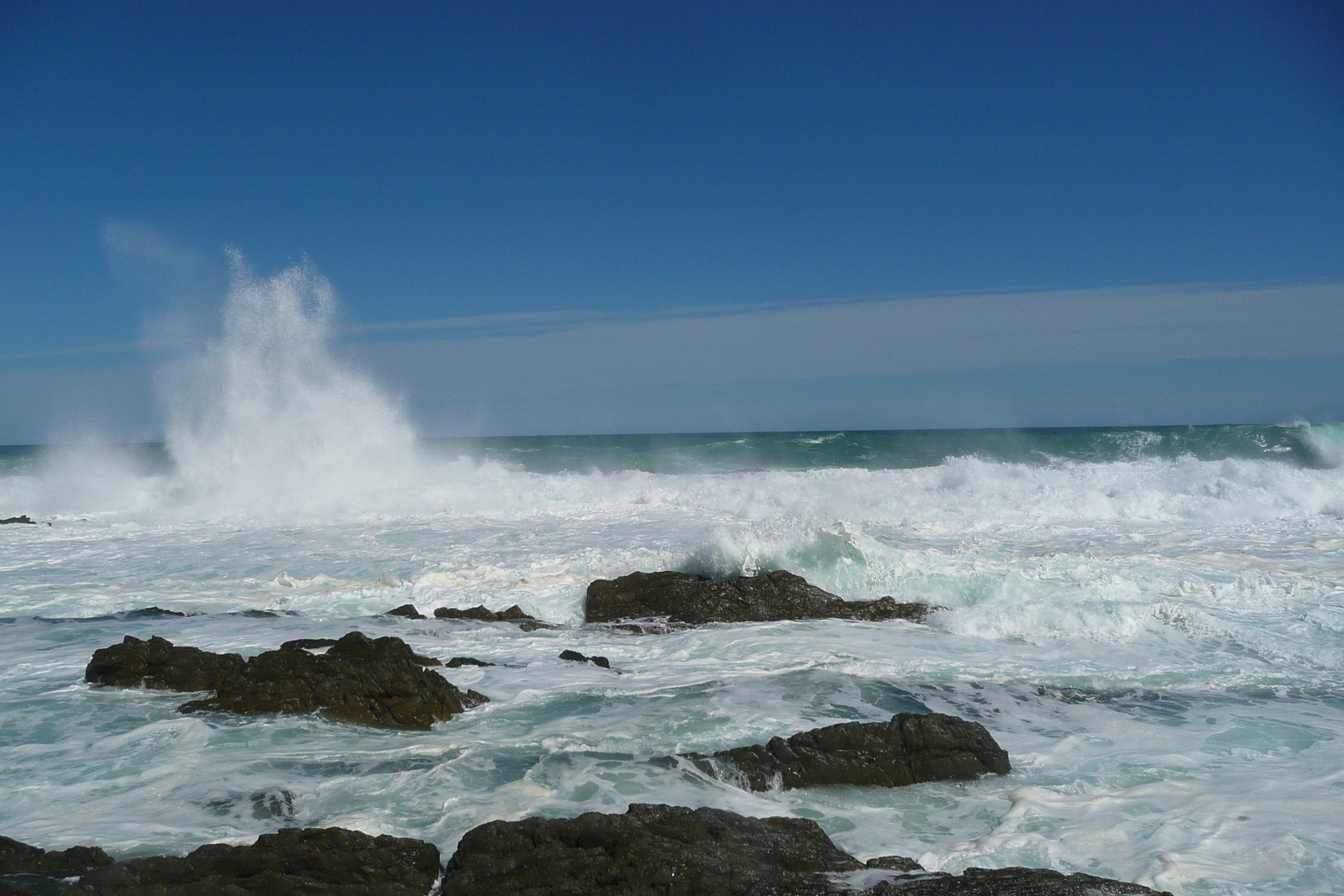 照片 南非(South Africa) 齐齐卡马国家公园(Tsitsikamma National Park) 2008-09 435