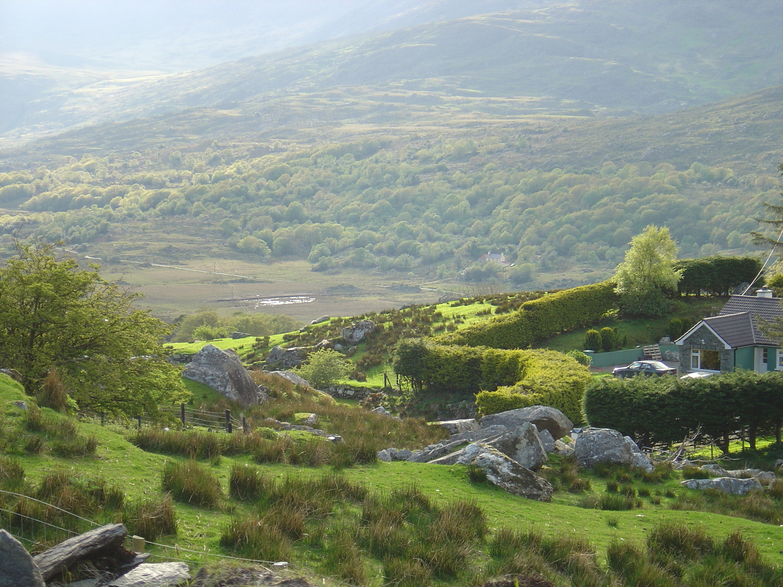 照片 爱尔兰(Ireland) 凯里郡(Kerry) 基拉尼国家公园(Killarney National Park) 2004-05 27