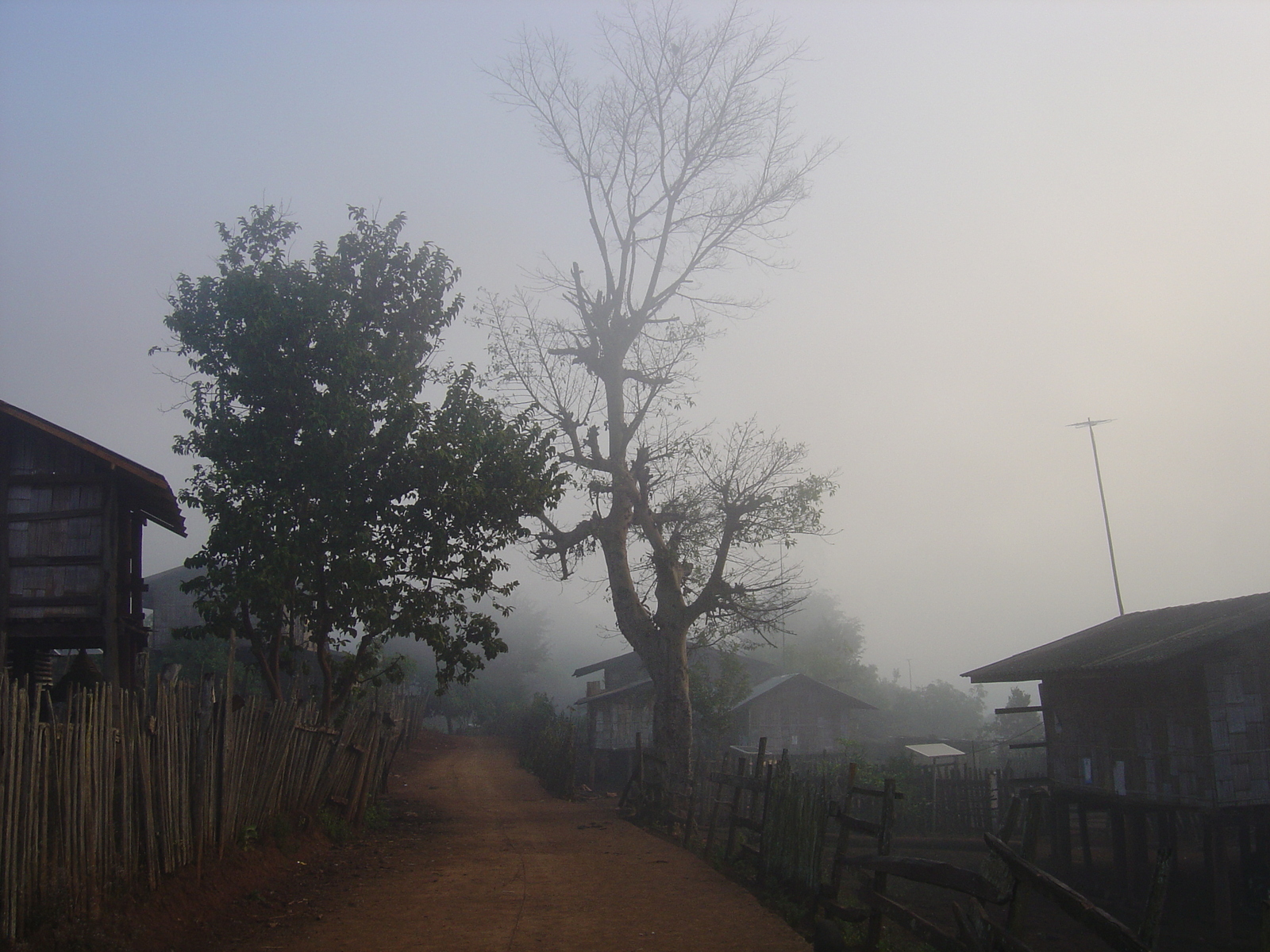 照片 泰国(Thailand) 邦玛帕(Pang Mapha) 2005-12 220