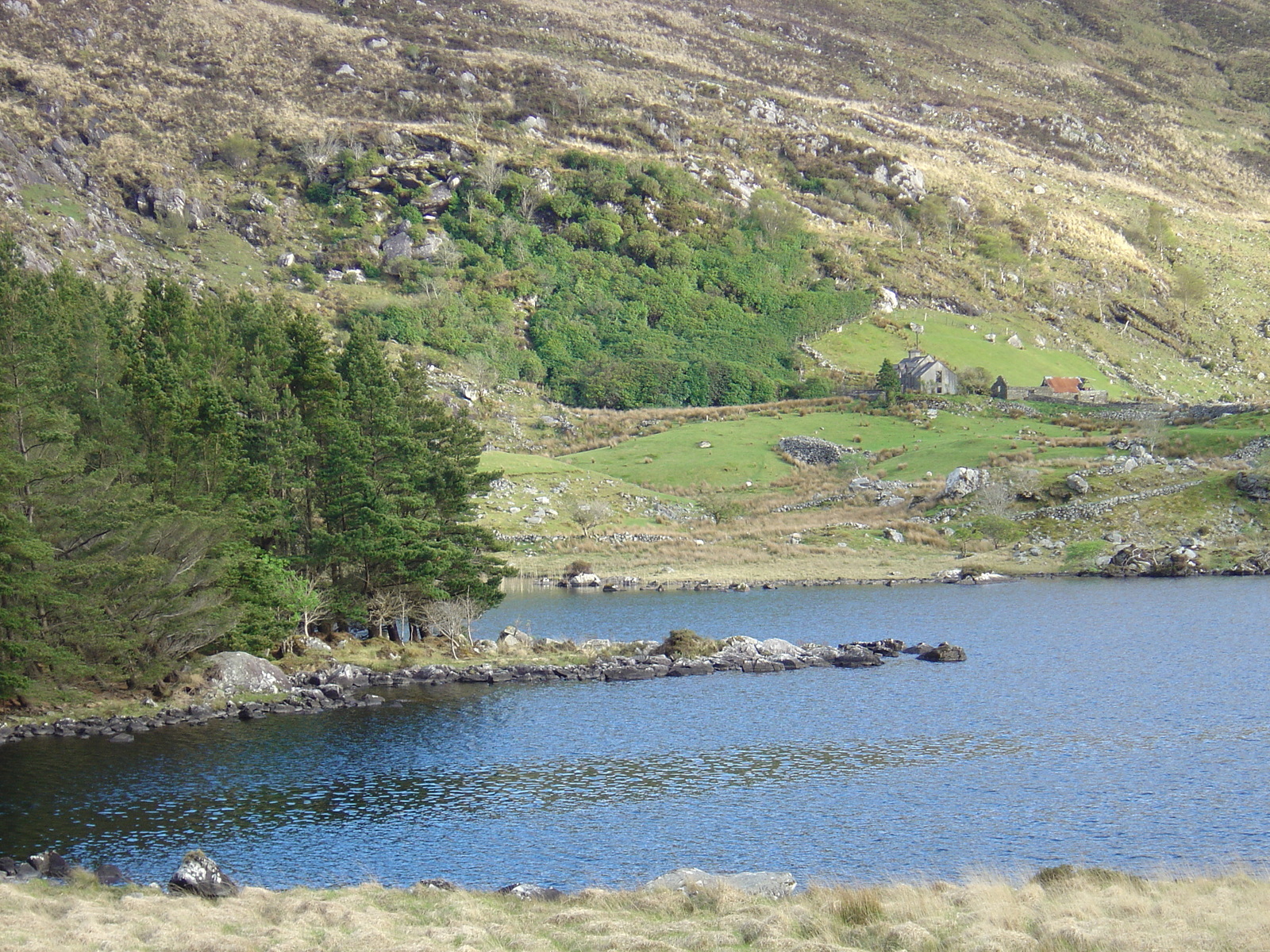 照片 爱尔兰(Ireland) 凯里郡(Kerry) 基拉尼国家公园(Killarney National Park) 2004-05 38