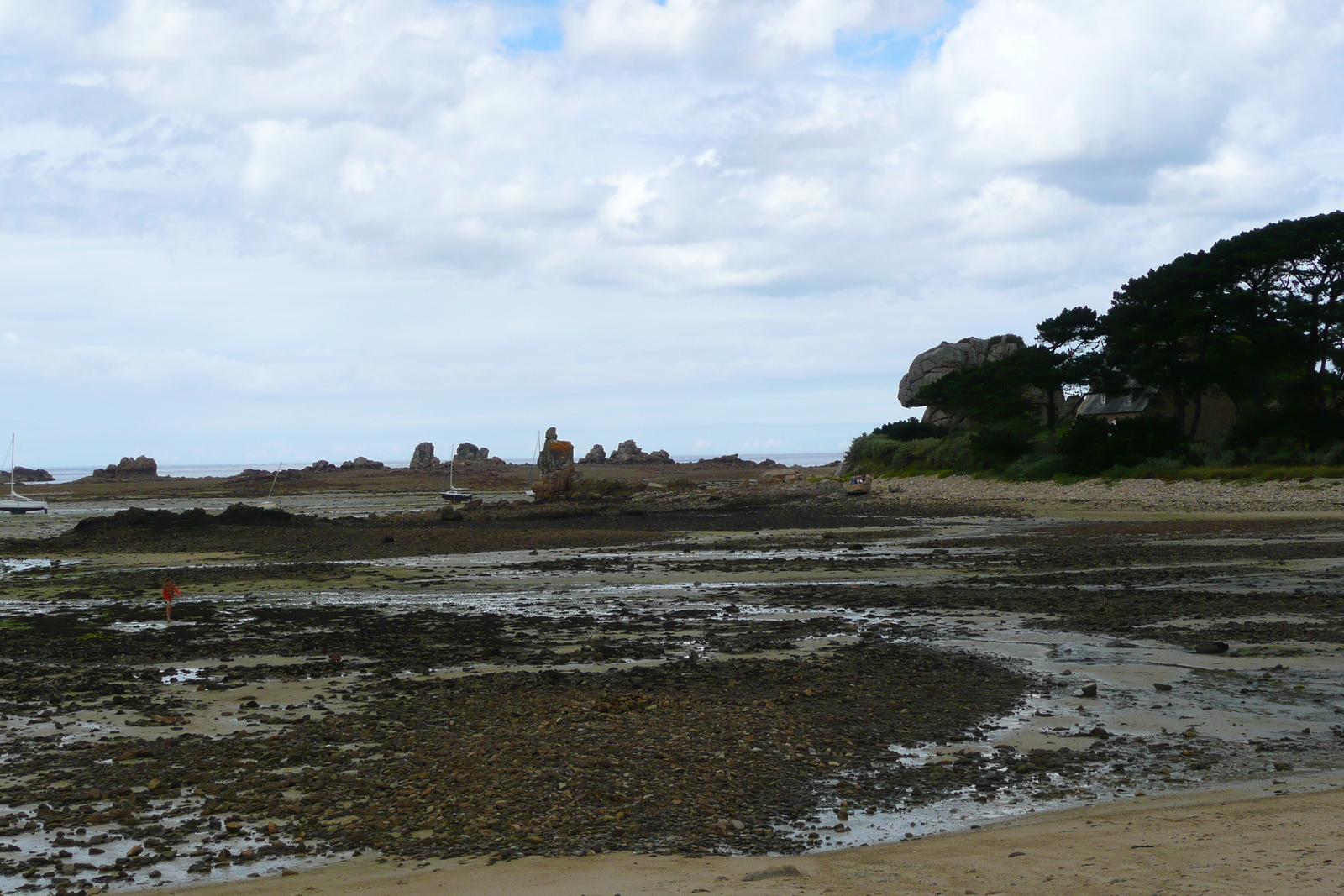 照片 法国(France) 普卢格雷斯康(Plougrescant) 2007-08 68