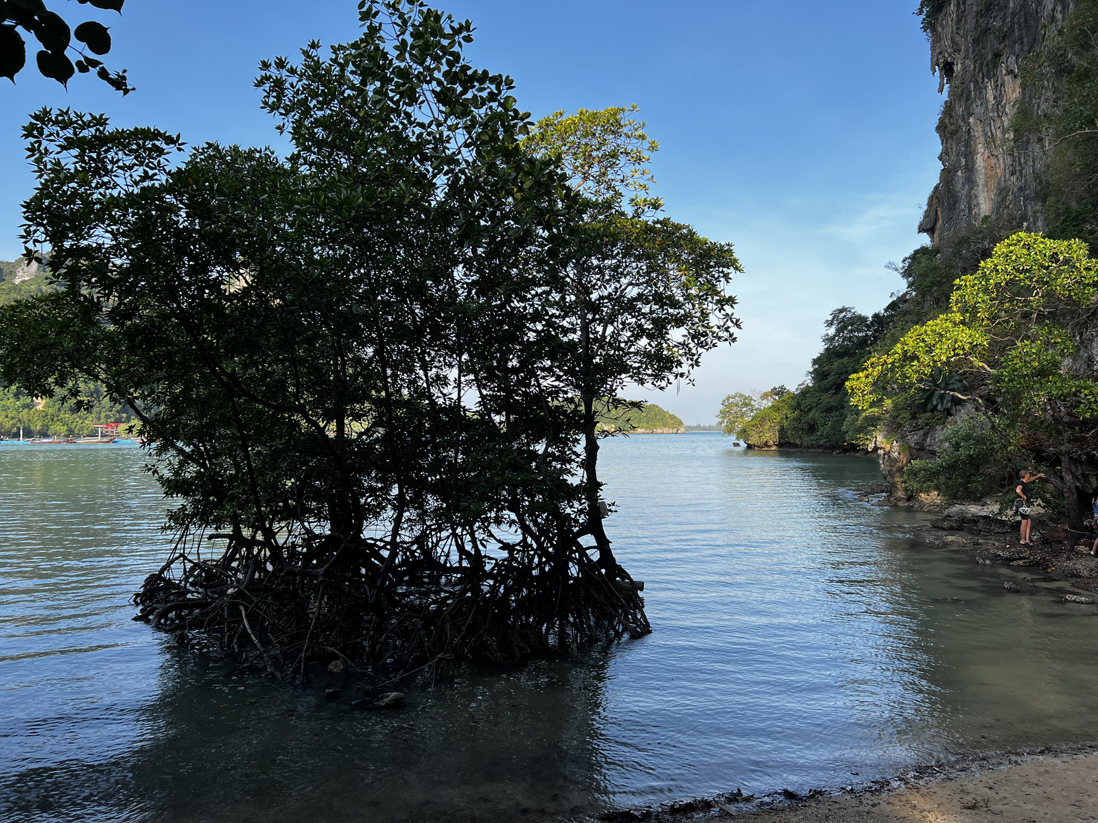 照片 泰国(Thailand) 甲米(Krabi) 2023-01 187